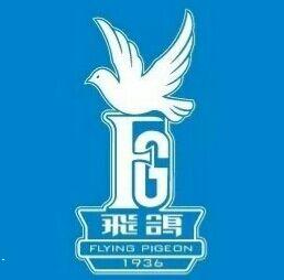 公司介绍_天津市飞鸽集团有限公司