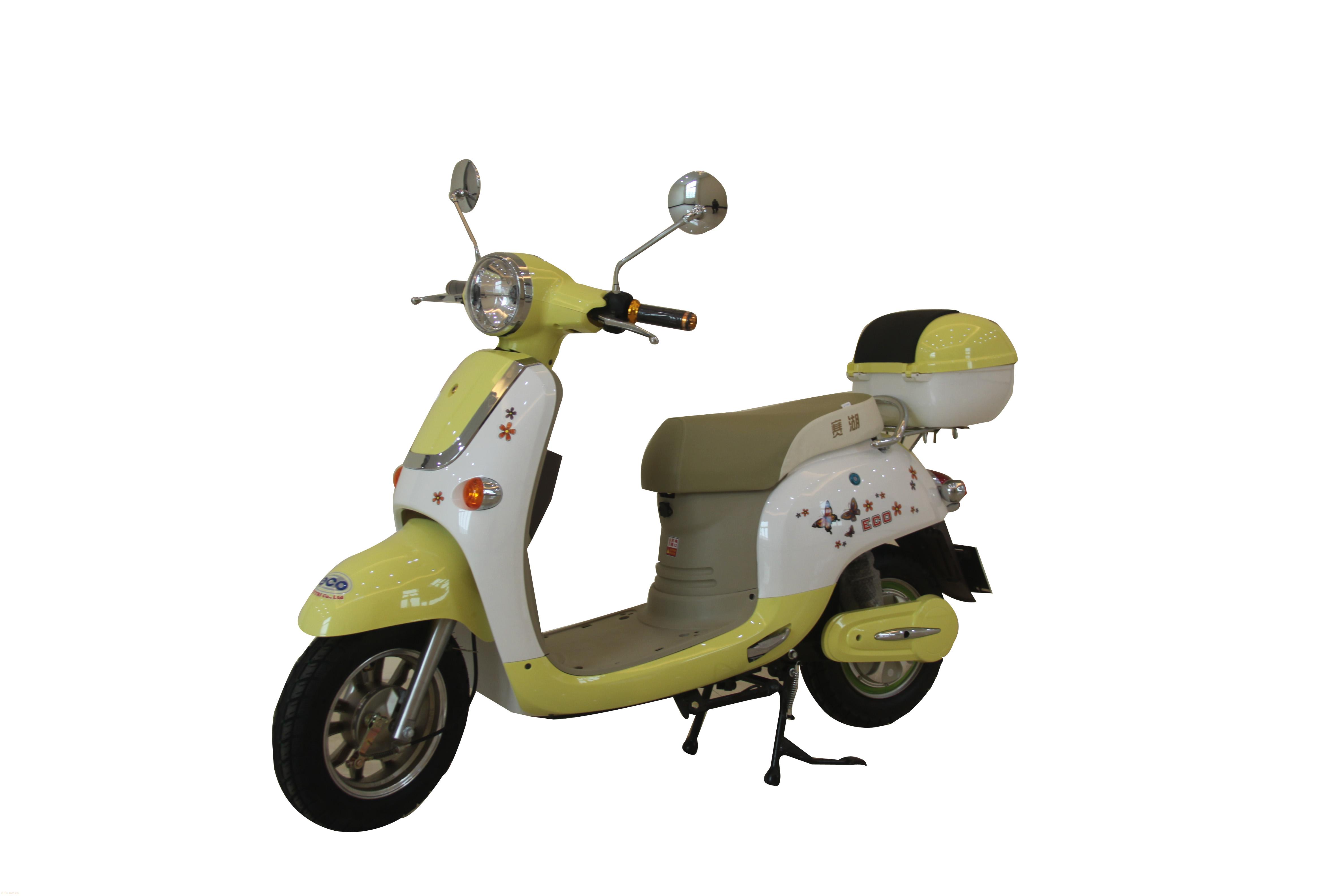 赛湖牌电动车shty-4820-h2