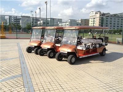 8座電動高爾夫球車AEG106A+2