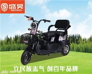 盛昊-炫彩電動休閑三輪車