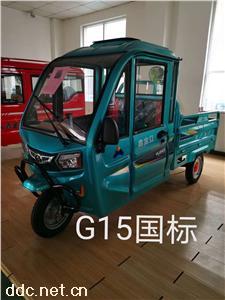 鑫金立G15國標電動半棚篷車