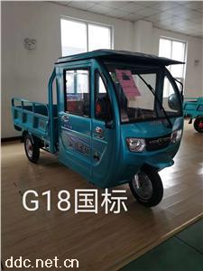 鑫金立G18國標電動半棚篷車