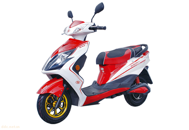 上海华生电动车厂有限公司